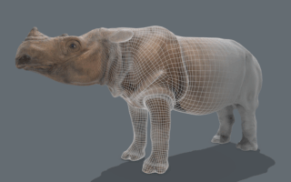 Virtual Reality Badak: Pengalaman Immersive Jelajahi Habitat Badak Indonesia