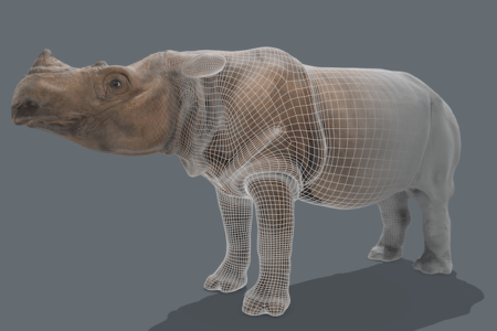 Virtual Reality Badak: Pengalaman Immersive Jelajahi Habitat Badak Indonesia